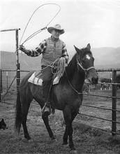 Bertam Snedden
